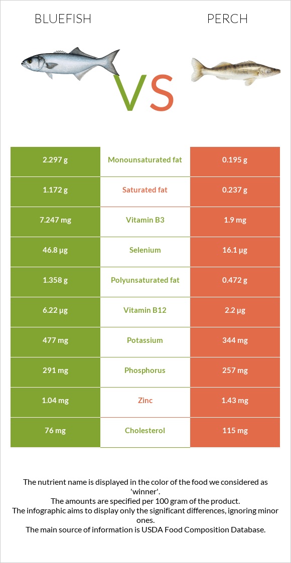 Bluefish vs Perch infographic