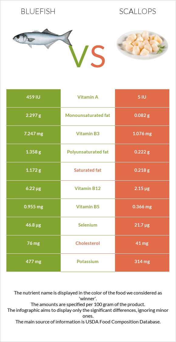 Bluefish vs Scallops infographic