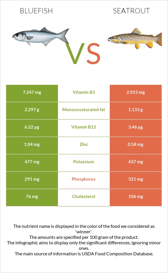 Bluefish vs Seatrout infographic