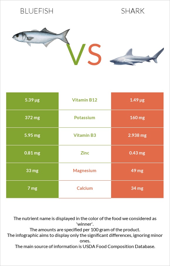 Bluefish vs Shark infographic