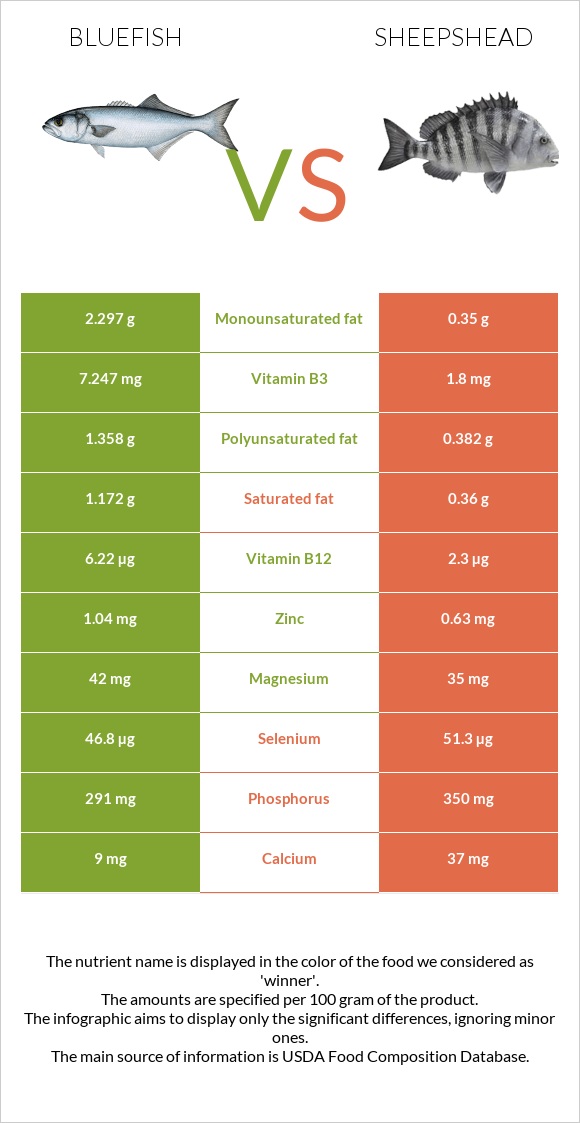 Bluefish vs Sheepshead infographic