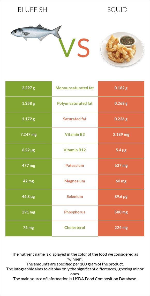 Bluefish vs Squid as food infographic