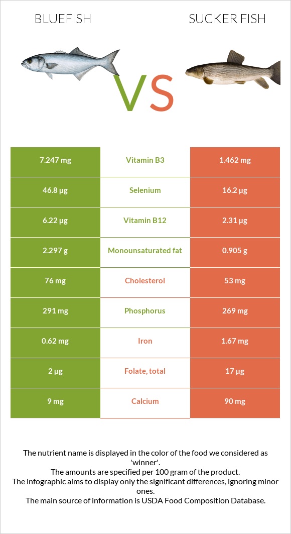 Bluefish vs Sucker fish infographic