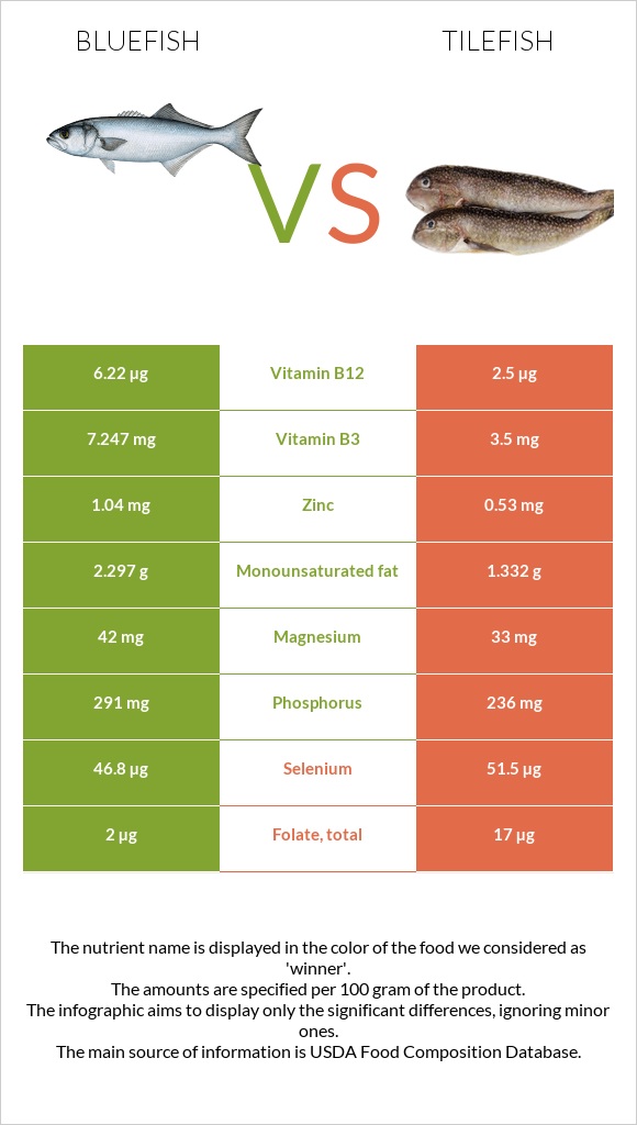 Bluefish vs Tilefish infographic