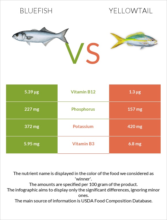 Bluefish vs Yellowtail infographic