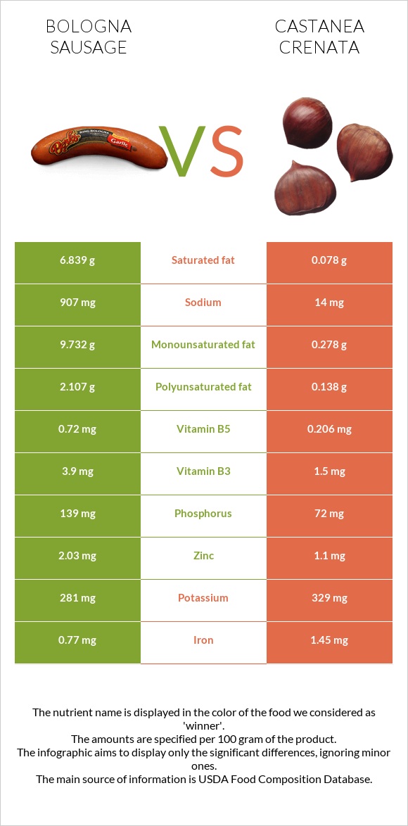 Bologna sausage vs Castanea crenata infographic