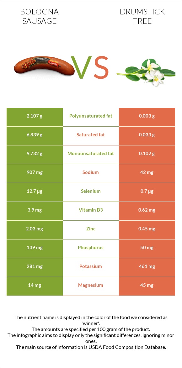 Բոլոնիայի երշիկ vs Drumstick tree infographic