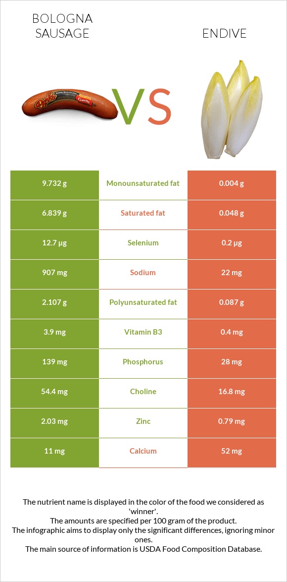 Bologna sausage vs Endive infographic