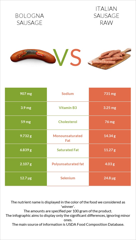 Bologna sausage vs Italian sausage raw infographic