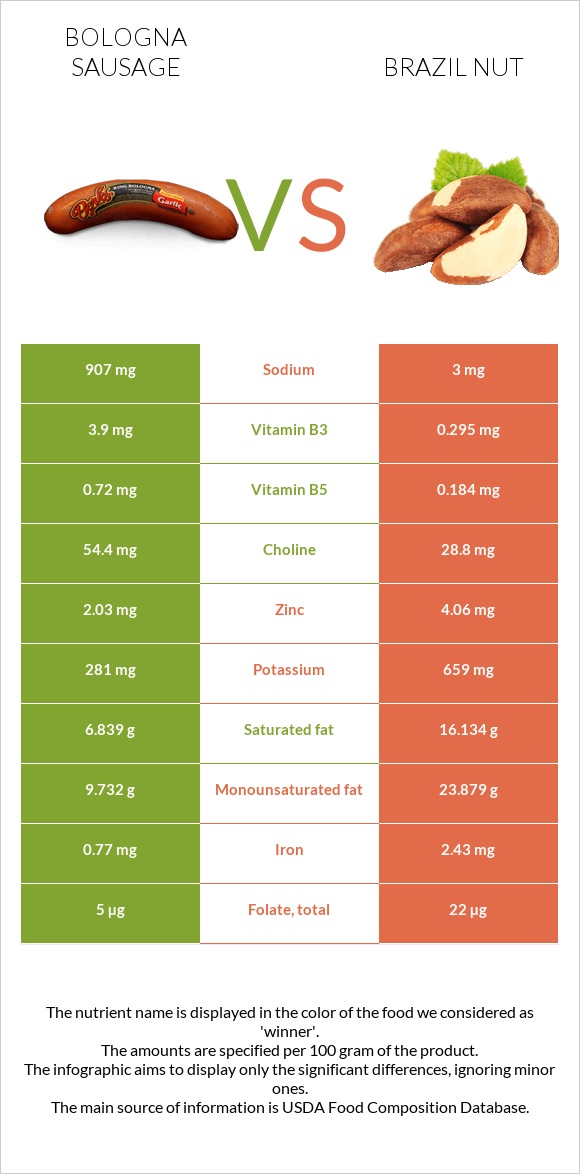 Bologna sausage vs Brazil nut infographic