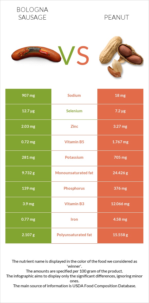 Bologna sausage vs Peanut infographic