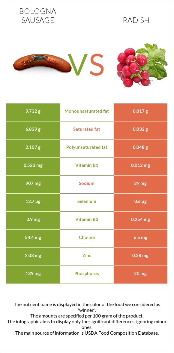 Bologna sausage vs Radish infographic