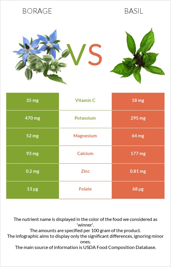 Borage vs Basil infographic