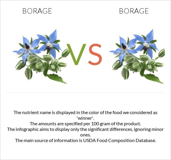 Borage vs Borage infographic