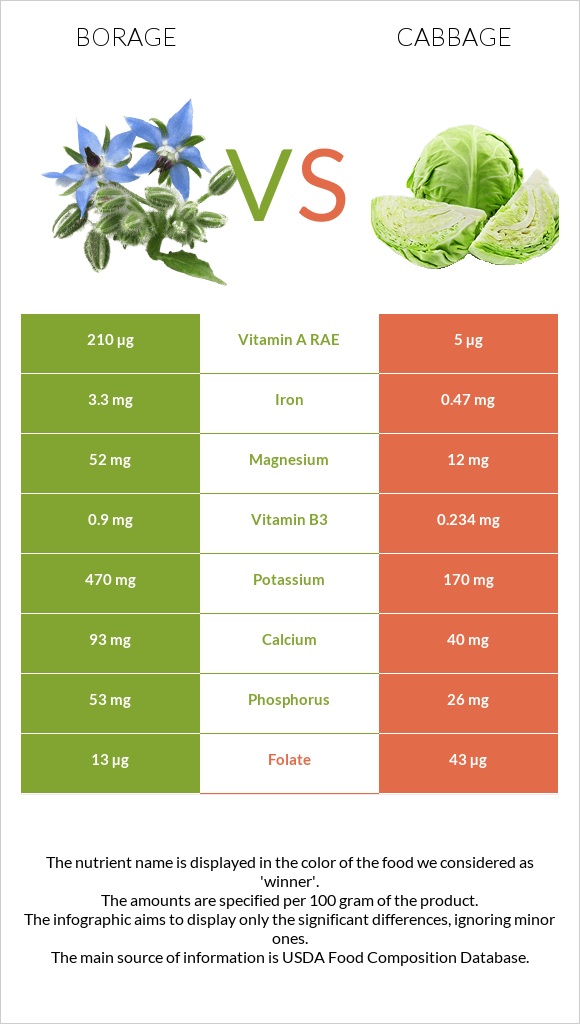 Borage vs Cabbage infographic