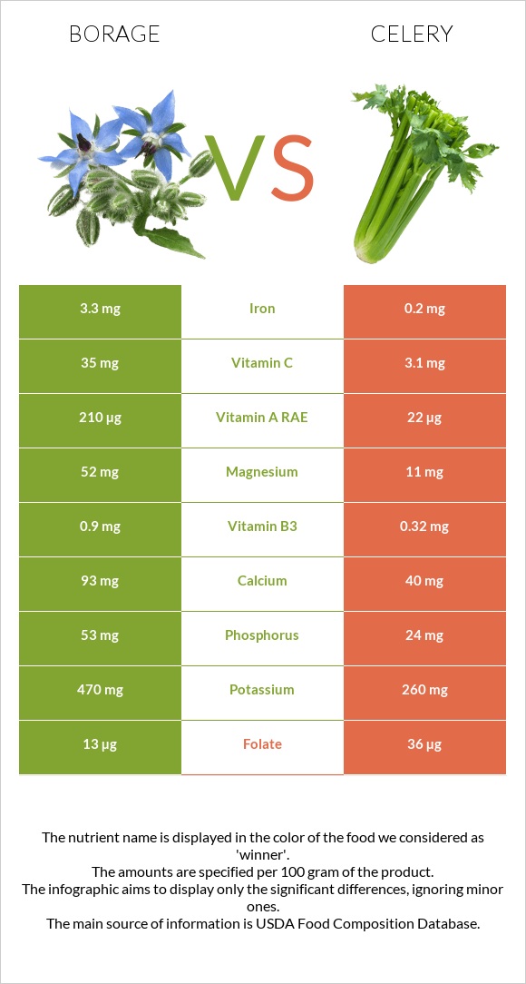 Borage vs Celery infographic