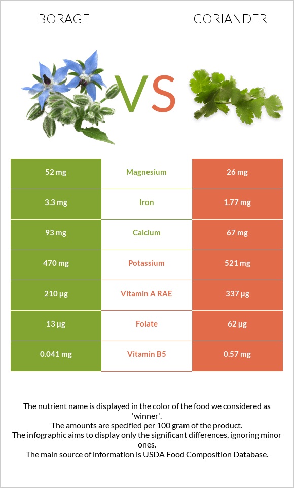 Borage vs Coriander infographic