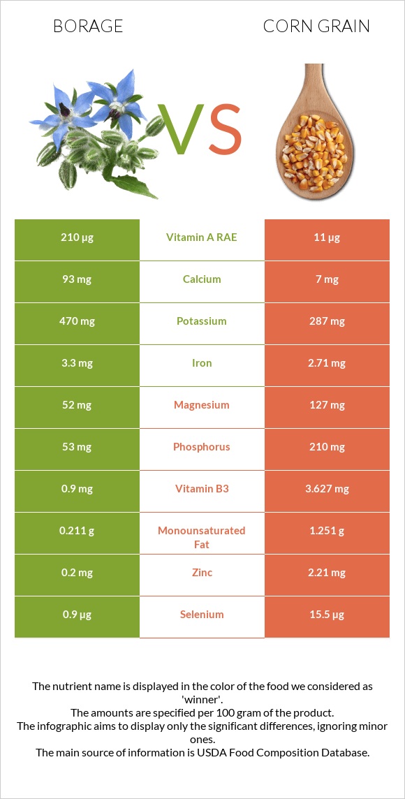 Borage vs Corn grain infographic