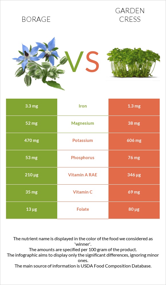 Borage vs Garden cress infographic