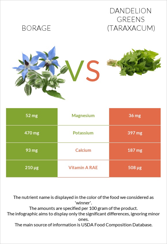 Borage vs Dandelion greens infographic
