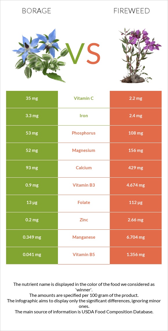 Borage vs Fireweed infographic