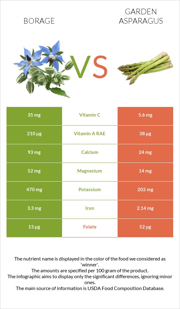 Borage vs Garden asparagus infographic