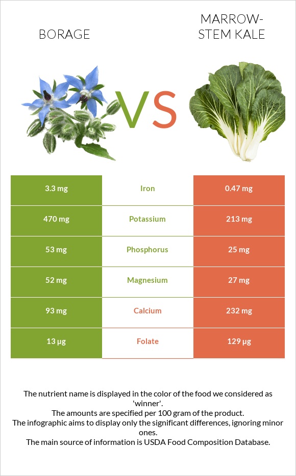 Borage vs Marrow-stem Kale infographic