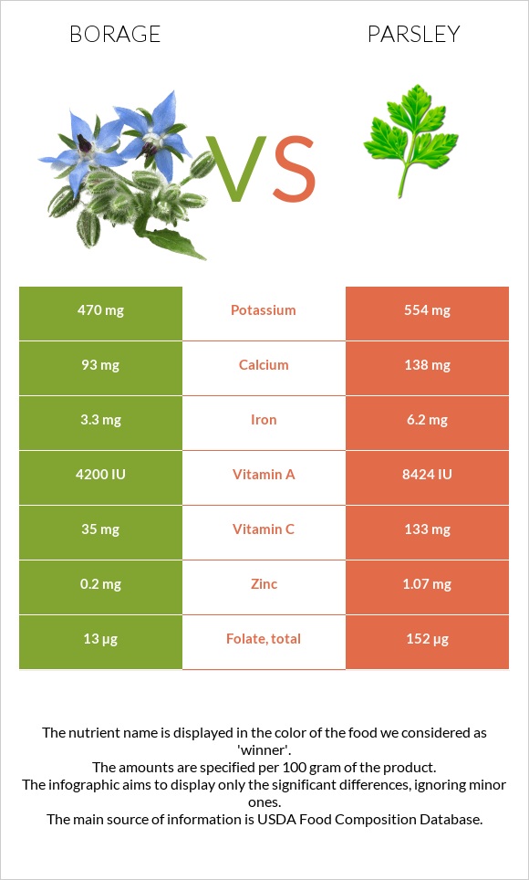 Borage vs Մաղադանոս infographic