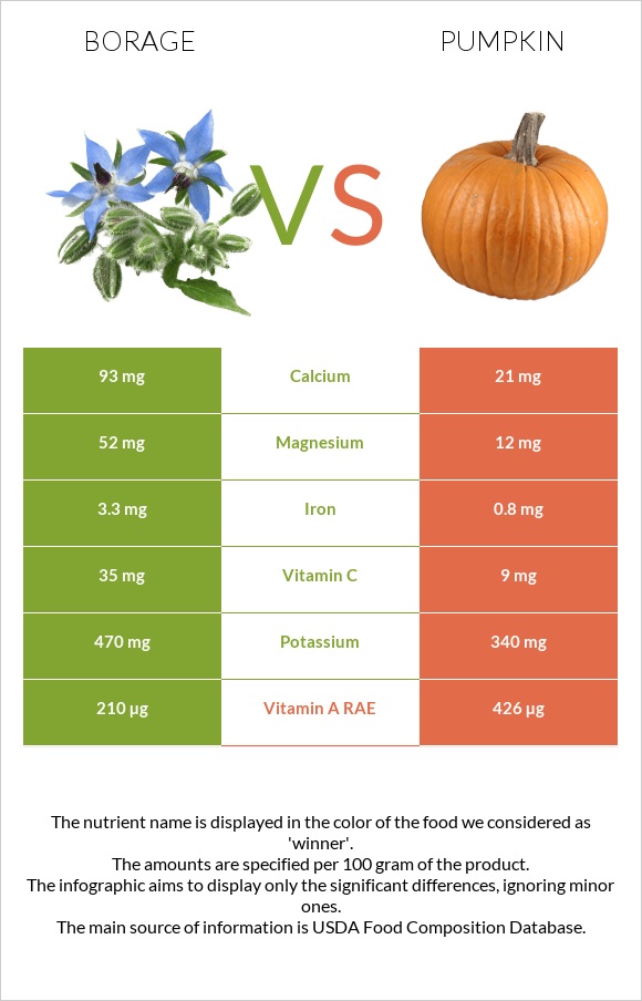 Borage vs Pumpkin infographic