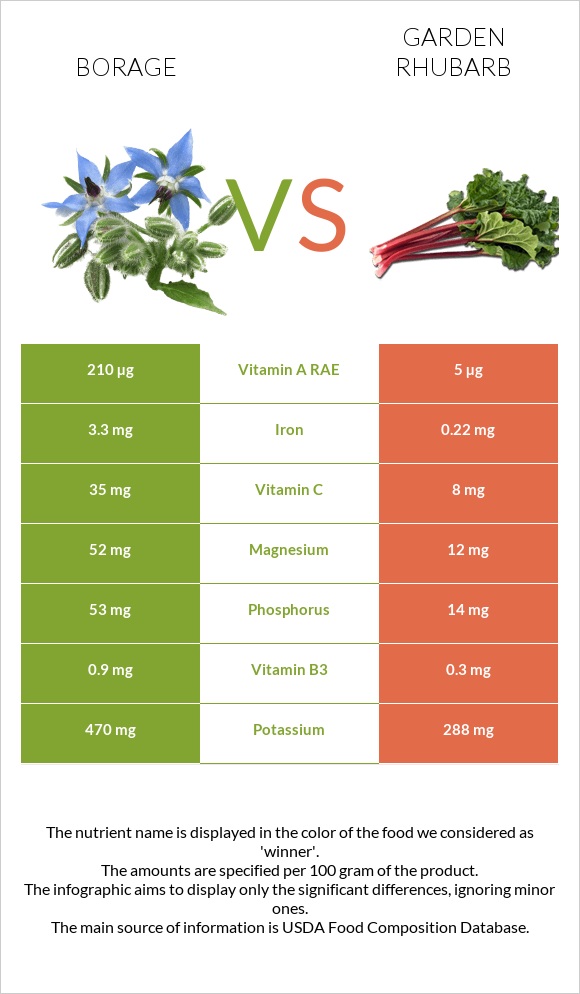 Borage vs Garden rhubarb infographic