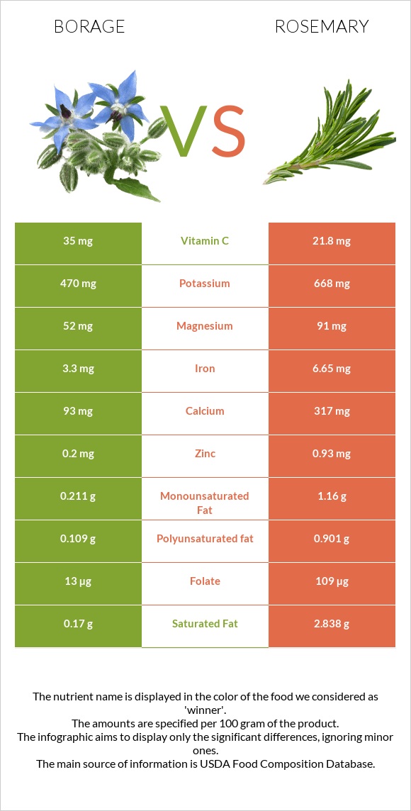 Borage vs Rosemary infographic