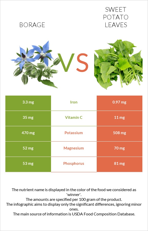 Borage vs Sweet potato leaves infographic