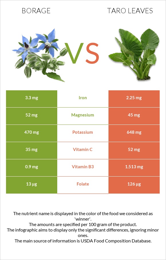 Borage vs Taro leaves infographic