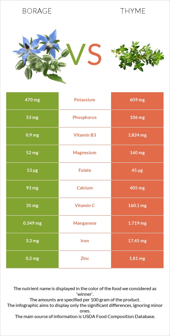 Borage vs Thyme infographic