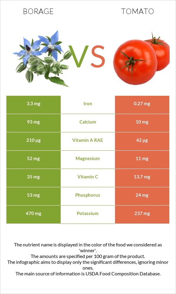 Borage vs Tomato infographic