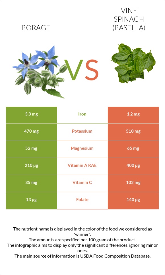 Borage vs Vine spinach (basella) infographic
