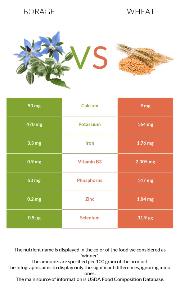 Borage vs Wheat infographic