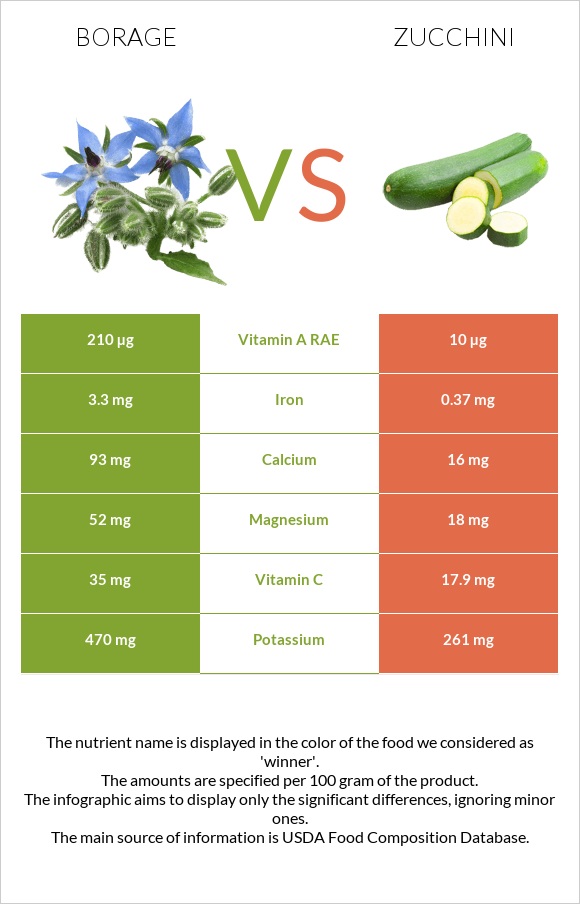 Borage vs Zucchini infographic