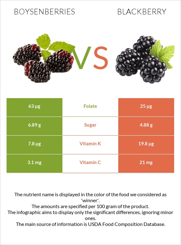 Boysenberries vs Blackberry infographic