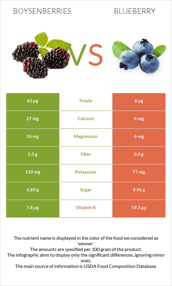 Boysenberries vs Blueberry infographic