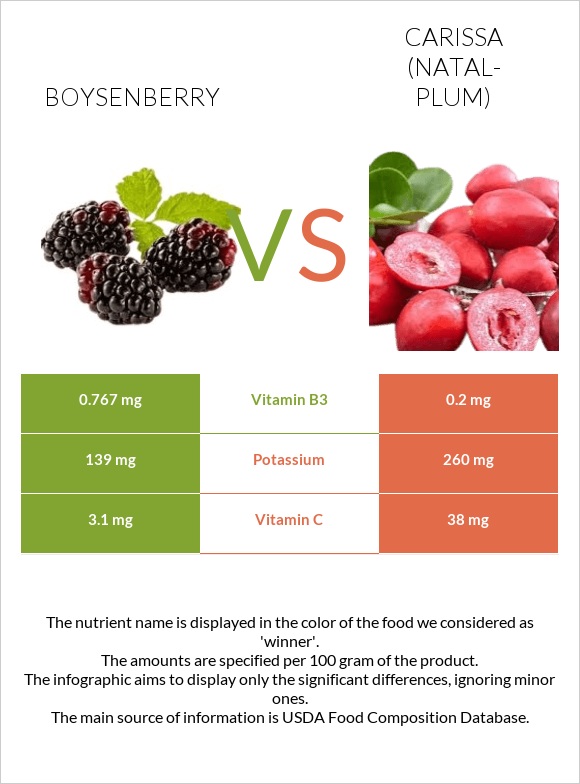 Boysenberry vs Carissa (natal-plum) infographic