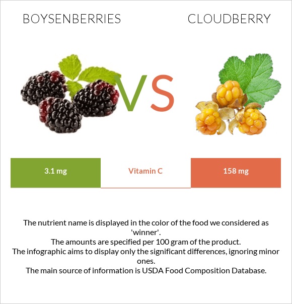 Բոյզենբերրի vs Ճահճամոշ infographic