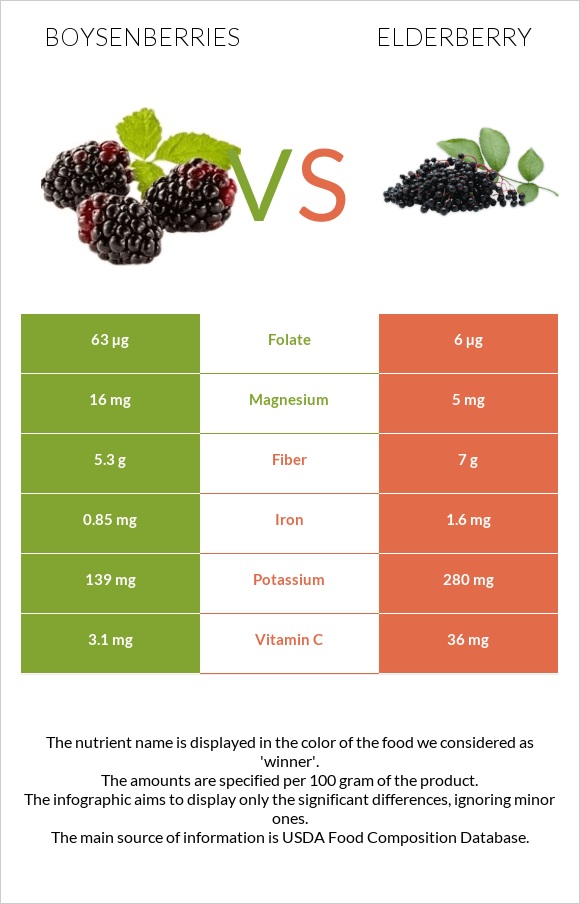 Բոյզենբերրի vs Elderberry infographic