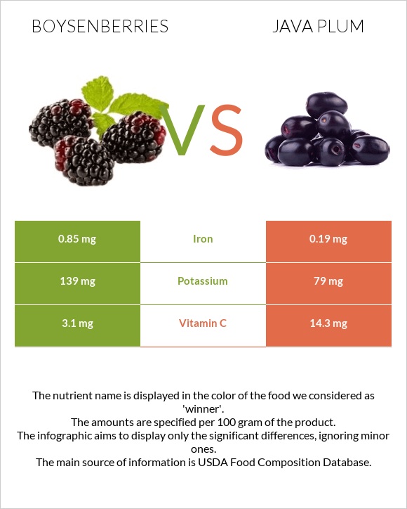 Բոյզենբերրի vs Java plum infographic