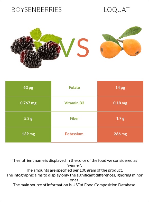 Boysenberries vs Loquat infographic