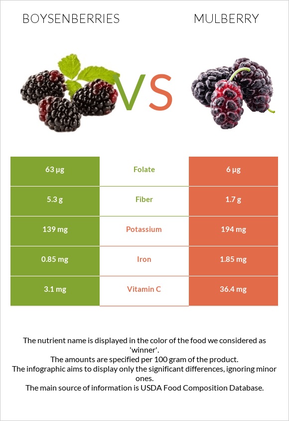 Boysenberries vs Mulberry infographic