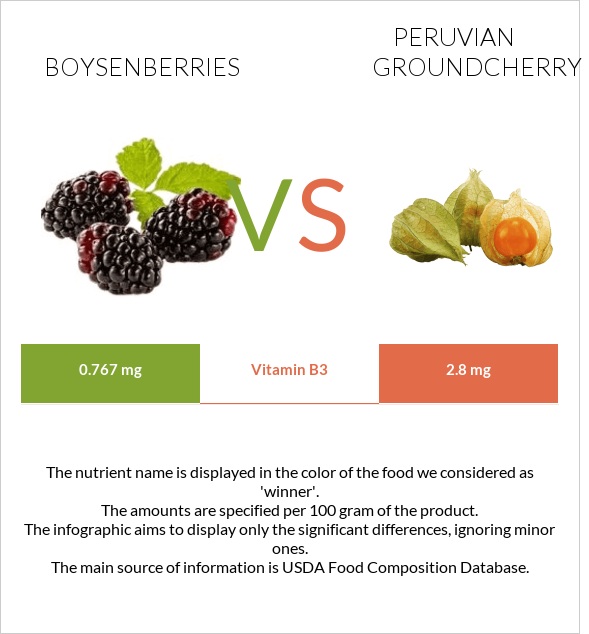 Boysenberry vs Peruvian groundcherry infographic