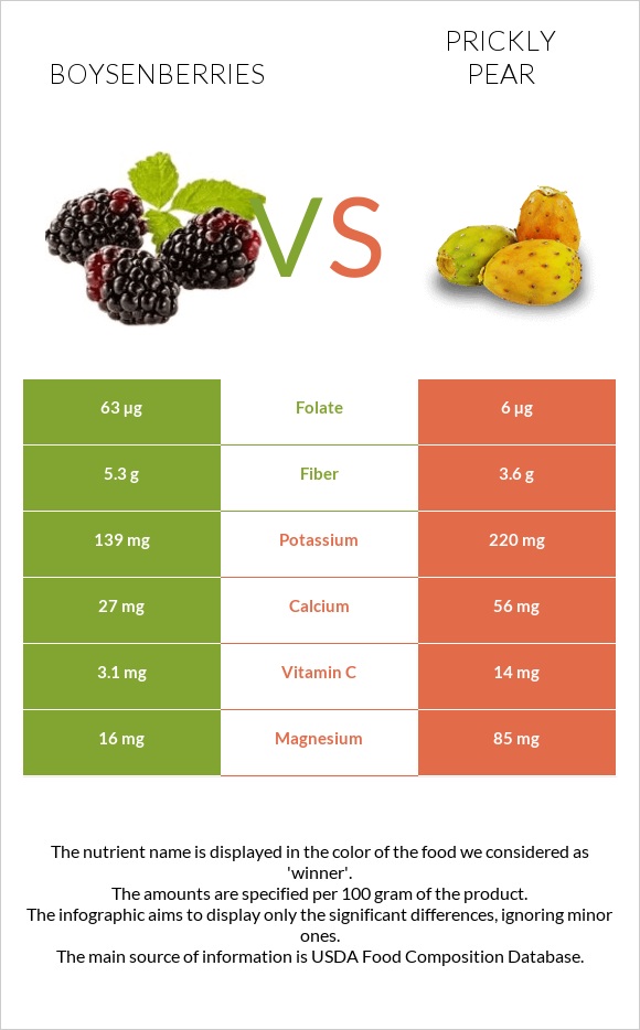 Բոյզենբերրի vs Կակտուսի պտուղ infographic