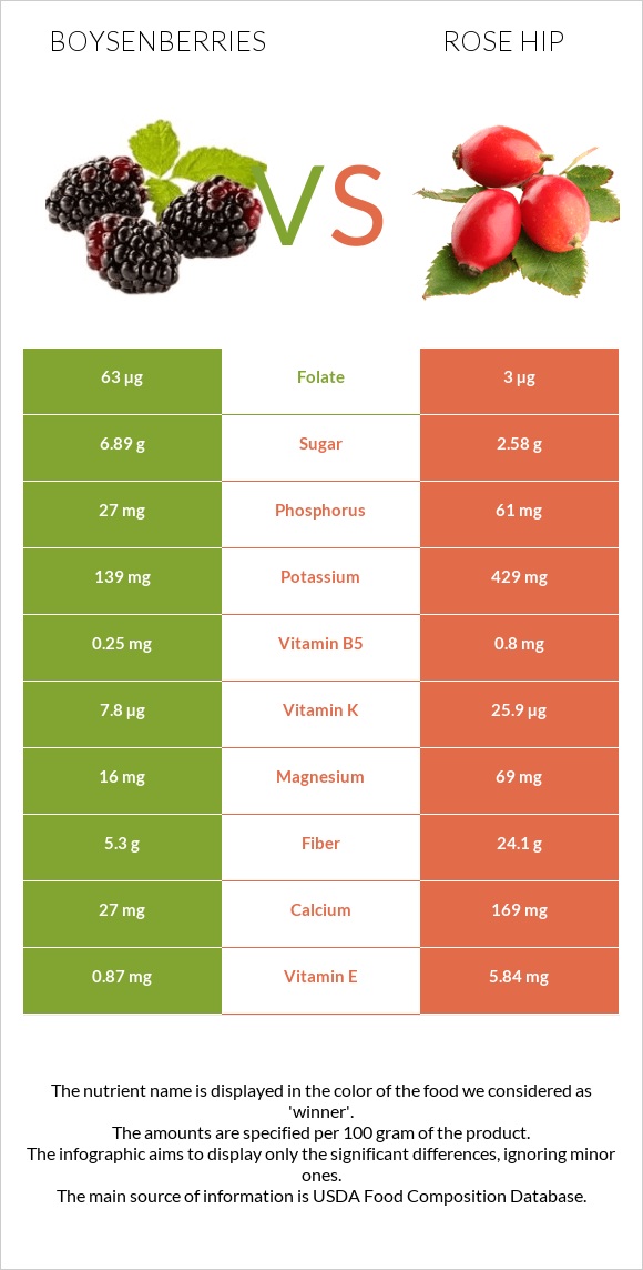 Բոյզենբերրի vs Մասուրի պտուղներ infographic