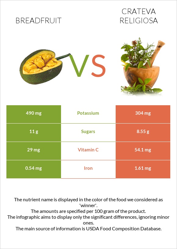 Հացի ծառ vs Crateva religiosa infographic